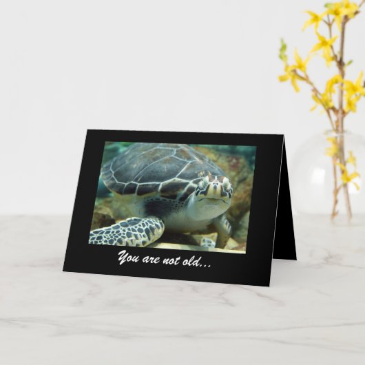 Turtle Birthday Card Karte (Gelbe Blume)