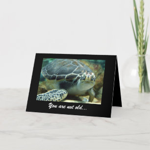 Turtle Birthday Card Karte