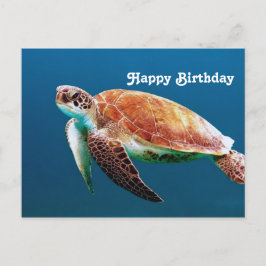 Turtle Blue Water Sea Foto Geburtstag Postkarte