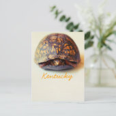 Turtle by JerseyFawn Postkarte (Stehend Vorderseite)