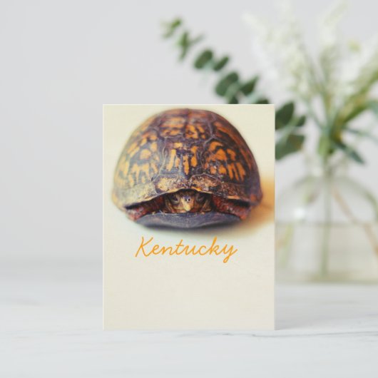 Turtle by JerseyFawn Postkarte (Stehend Vorderseite)