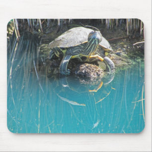 Turtle by Water mit Reflection Foto Lake Animal Mousepad