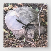 Turtle Clock Quadratische Wanduhr (Vorderseite)