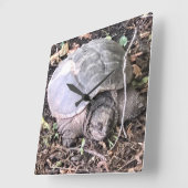 Turtle Clock Quadratische Wanduhr (Winkel)