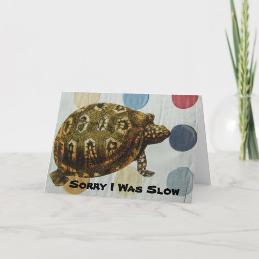 Turtle Collage Belated Birthday Karte (Vorderseite)