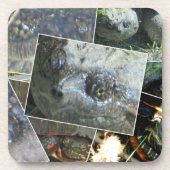 Turtle Collage Getränkeuntersetzer (Vorderseite)