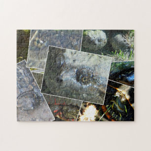 Turtle Collage Puzzle