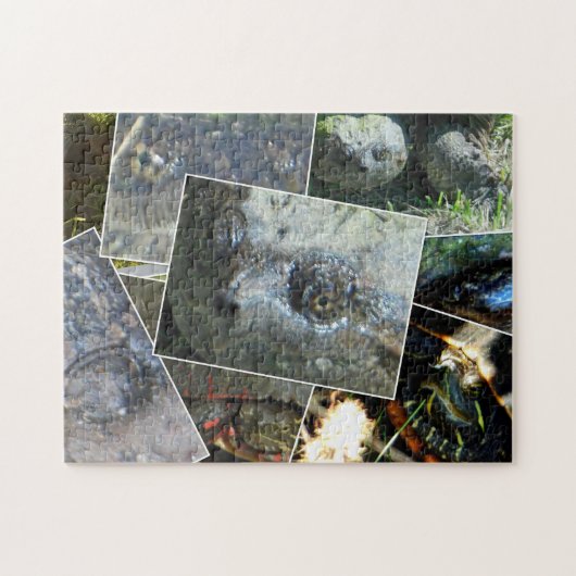 Turtle Collage Puzzle (Horizontal)