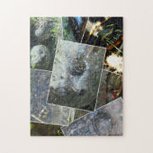Turtle Collage Puzzle (Vertikal)