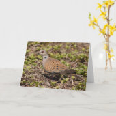 Turtle Dove Greeting Card Karte (Gelbe Blume)