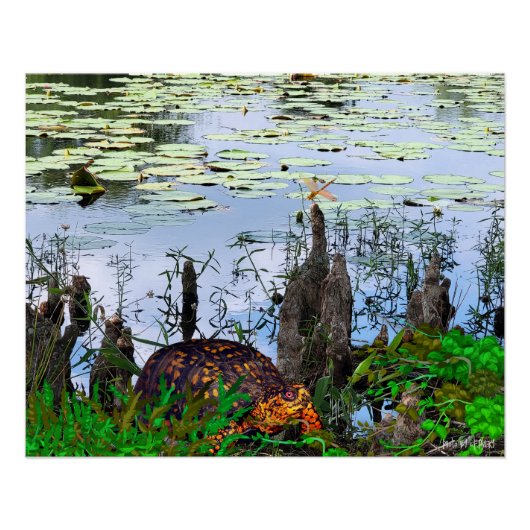 Turtle Dragonfly Pneumatophos Pond Poster (Vorderseite)