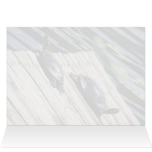 Turtle-Erholung (Innenansicht Horizontal (Oben))