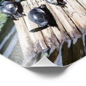 Turtle-Erholung Fotodruck (Ecke)