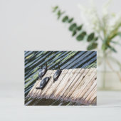 Turtle-Erholung Postkarte (Stehend Vorderseite)