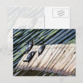 Turtle-Erholung Postkarte (Vorne/Hinten)