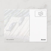Turtle-Erholung Postkarte (Rückseite)