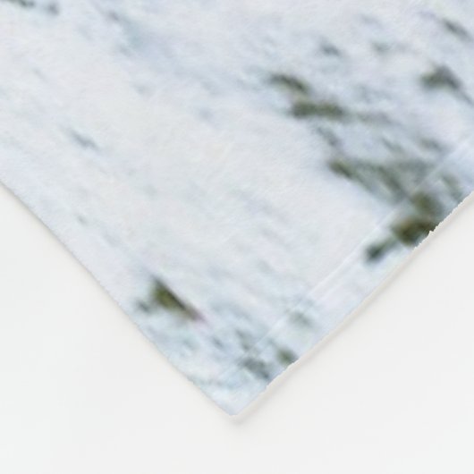 Turtle Fleece Blanket (Ecke)