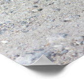 Turtle-Foto Poster (Ecke)