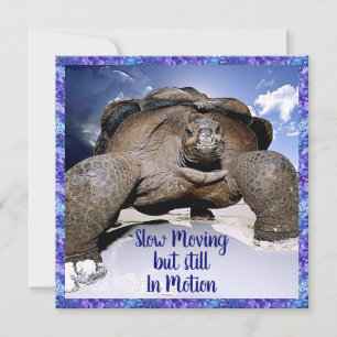 Turtle - Funny Birthday Card Dankeskarte