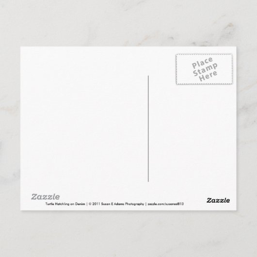 Turtle Hatchling on Denim Postcard Postkarte (Rückseite)