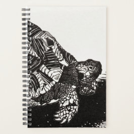 Turtle Haven 2024: Ein Yearlong Terrarium Adventur Planer