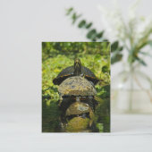 Turtle High Postkarte (Stehend Vorderseite)