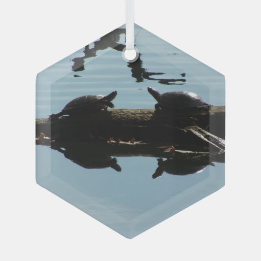 Turtle Interaction Ornament (Vorderseite)