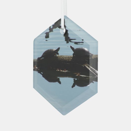 Turtle Interaction Ornament (Vorderseite Links)