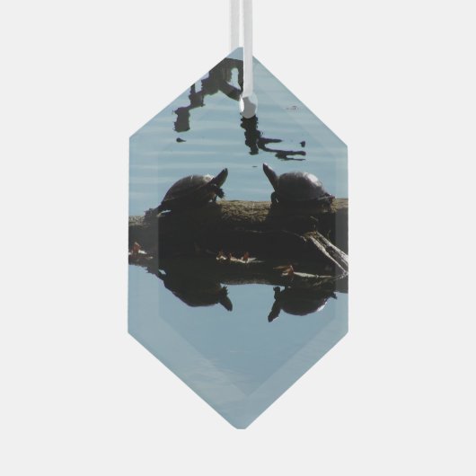 Turtle Interaction Ornament (Vorderseite Rechts)