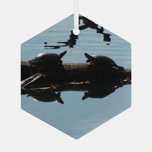 Turtle Interaction Ornament (Rückseite)