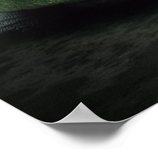 Turtle Island Poster (Ecke)