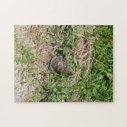 Turtle Jigsaw Puzzle (Horizontal)