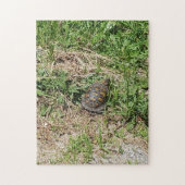 Turtle Jigsaw Puzzle (Vertikal)