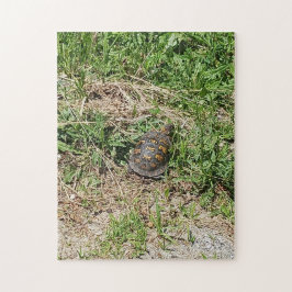 Turtle Jigsaw Puzzle