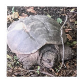 Turtle-Keramik Fliese (Vorderseite)