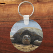 Turtle Key-Kette aus Maui Schlüsselanhänger (Rückseite)