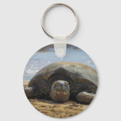 Turtle Key-Kette aus Maui Schlüsselanhänger (Rückseite)