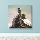 Turtle-Liebe Leinwanddruck (Insitu (Holzboden))