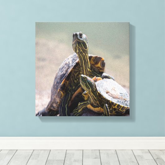 Turtle-Liebe Leinwanddruck (Insitu (Holzboden))