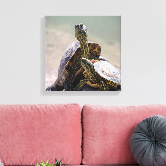 Turtle-Liebe Leinwanddruck (Insitu (Wohnzimmer))
