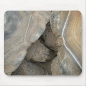 Turtle-Liebe Mousepad (Vorne)