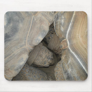 Turtle-Liebe Mousepad