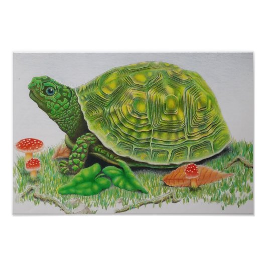 "Turtle Liebe" Originalposter von Baylen Parada (b Fotodruck (Vorne)