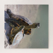Turtle-Liebe Puzzle (Horizontal)
