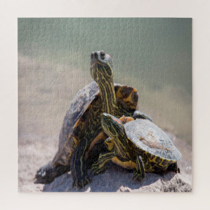 Turtle-Liebe Puzzle