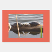 Turtle Lover Wrapping Paper Flat Shts Set of 3 Geschenkpapier Set (Vorderseite 2)