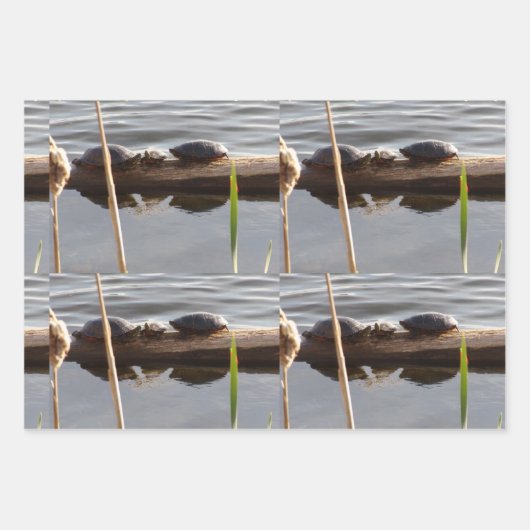Turtle Lover Wrapping Paper Flat Shts Set of 3 Geschenkpapier Set (Vorderseite)