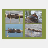 Turtle Lover Wrapping Paper Flat Shts Set of 3 Geschenkpapier Set (Vorderseite)