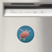 Turtle Magnet (In Situ (Geschirrspüler))
