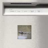 Turtle Magnet (In Situ (Geschirrspüler))